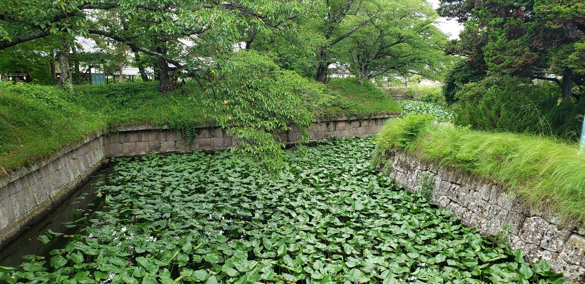 龍岡城来た。 