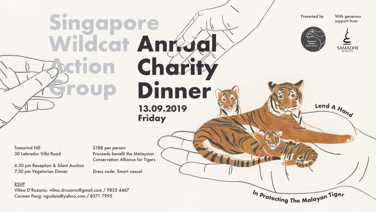 MYCAT_200's tweet photo. SWAG is organizing a #CharityDinner on 13 Sept 2019 to raise fund for MYCAT tiger conservation efforts at the Sungai Yu Wildlife Corridor in Pahang.
Join us for a night together with Dr. Kae Kawanishi and beloved supporters in Singapore. 🐯
#savingtigerstogether https://t.co/EboK8omvRy