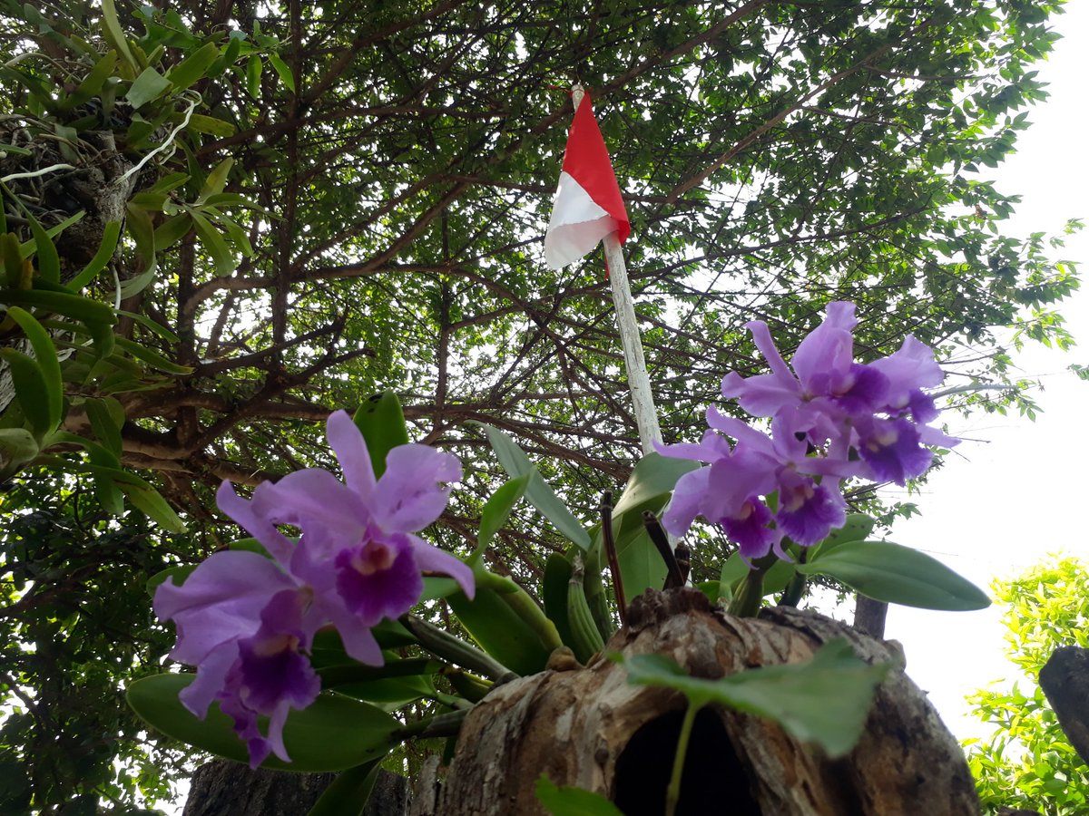 fienyang tweet picture