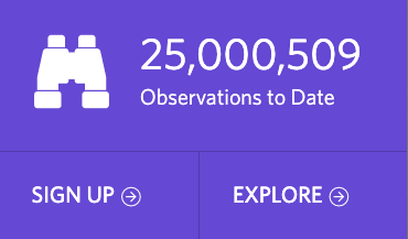 iNaturalist tweet media