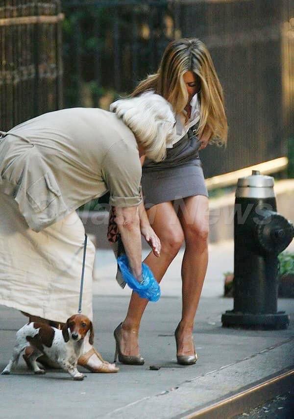 CarlosRfael's tweet photo. Y aquí una pobre viejita ayudando a una señora con los desechos de su perro https://t.co/uryLTUeBHC