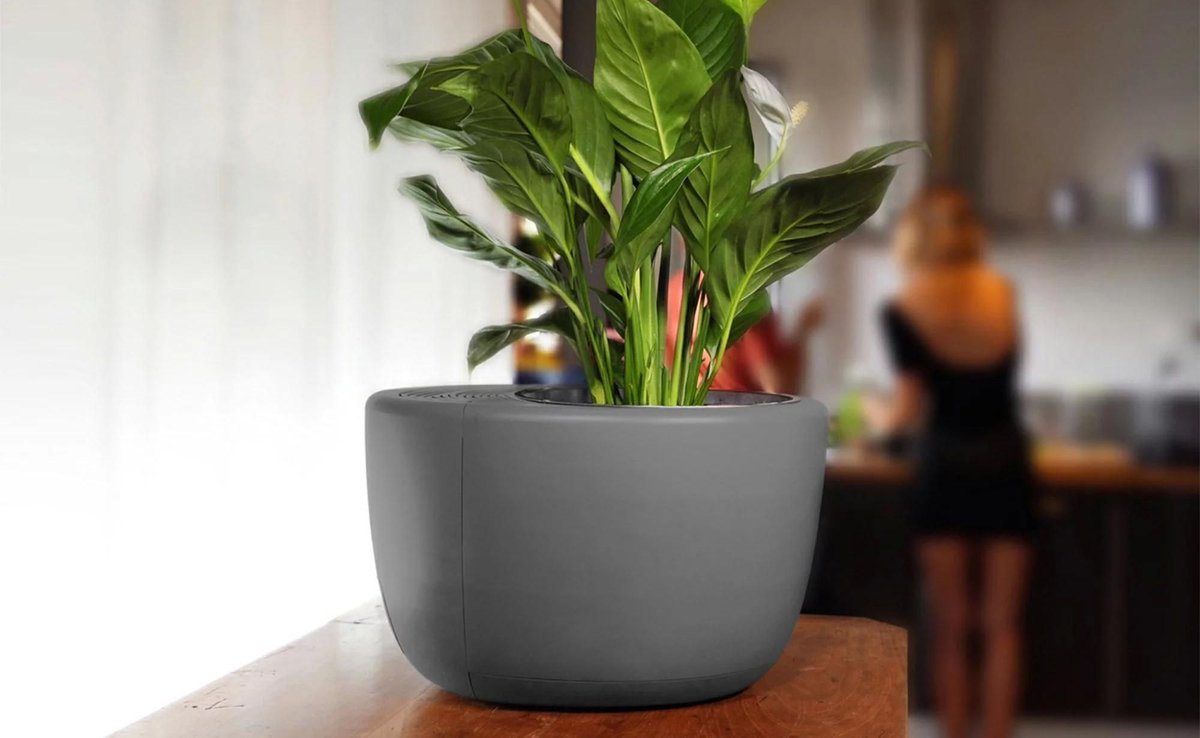 Urbie Air 3-in-1 Advanced Indoor #AirPurifying Planter gdfl.us/urbie1 It works in three different ways to clean the air around you. #gogreen