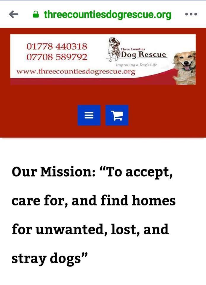 BellaAndPaula's tweet photo. @3CountiesDogs Not Unwanted, Not Lost, Not Stray...
Make it your mission to return Bella to Paula.
It is the mission of #TeamBella
She is Wanted, She is Not Lost, She was never A Stray.
More than this she is Paulas Support.  
She is Cared For, She Has A Home.
Bring Bella Home Pls https://t.co/cANV11S9y3