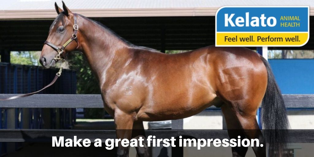 Kelato Animal Health tweet media