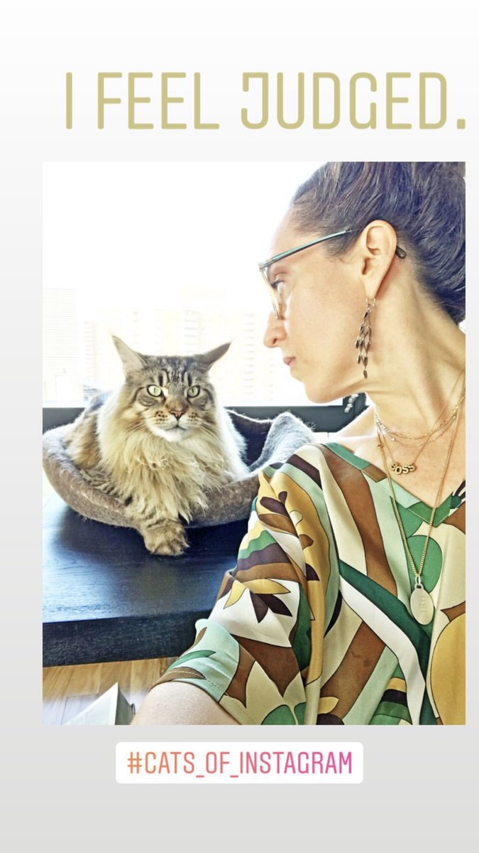 BestOfSMarch's tweet photo. More photos from today! ft. @melaniedunea getting judged by taco cat💓 https://t.co/Z10T0BBfs2