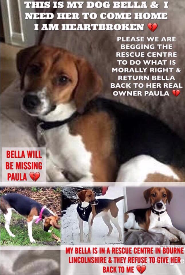 susanas4321's tweet photo. Please 🙏🙏🙏🙏🙏 I need ALL my friends in Twitterland to HELP get this #DOG 🐕 and it’s owner @BellaAndPaula RE UNITED can YOU share this for me so we #BringBellaHomePls #TeamBella 👇👇👇👇👇👇 @Carer49 @mccafferty2 @robmcd85 @ggsinclair @GillGSco4Ever @mcleod_sasha rt https://t.co/6AJC6006yA