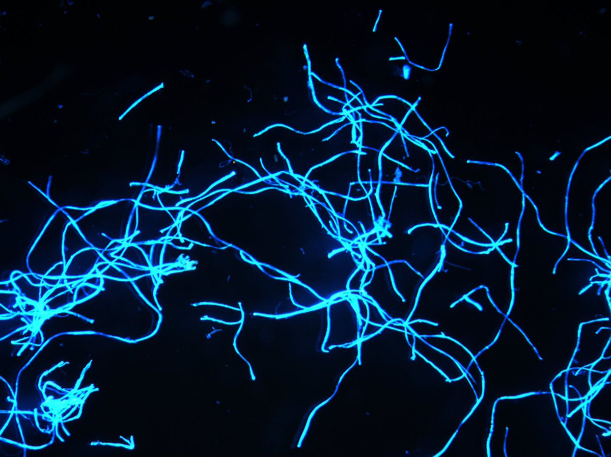 Scripps Institution of Oceanography tweet media