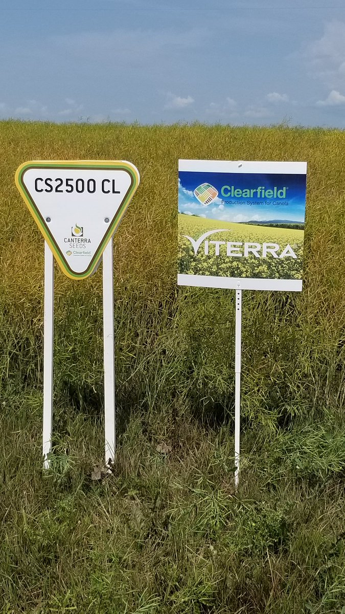 CANTERRAdon's tweet photo. Great cs2500cl    ie   clearfield canola @ seidler farms lumsden https://t.co/CXaxCj4iE7
