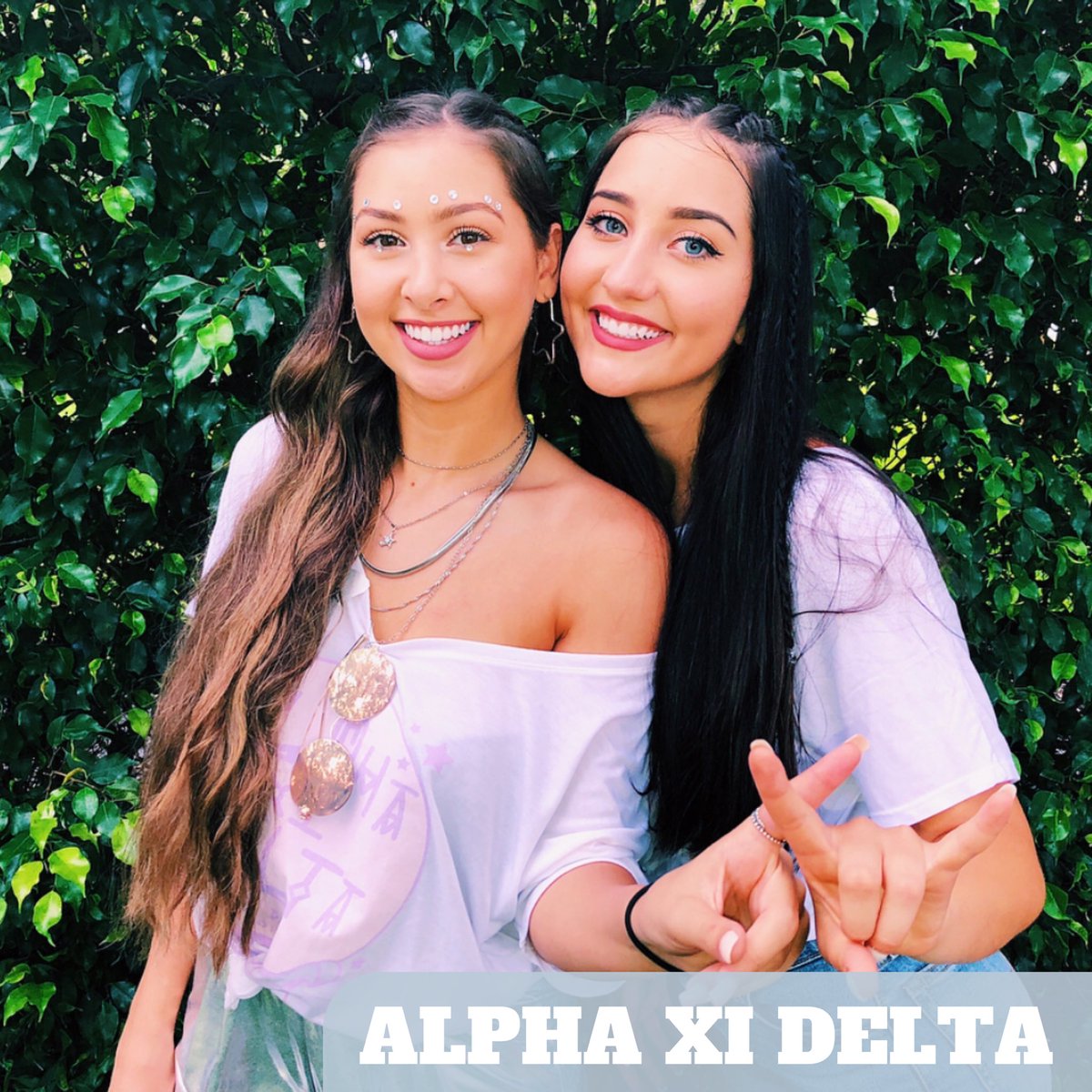 FAU Panhellenic tweet media