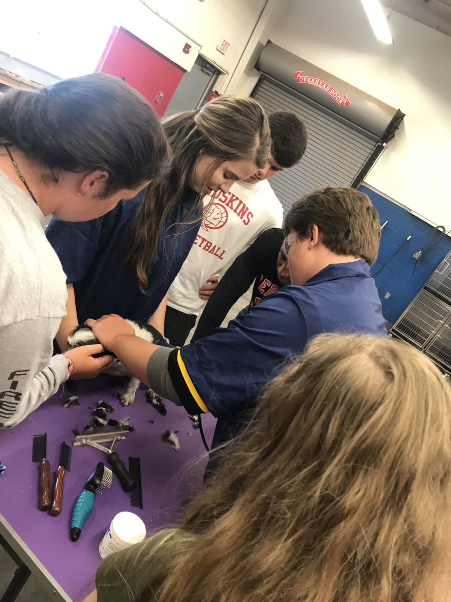 Small animal groomed their first dog today! #teachag