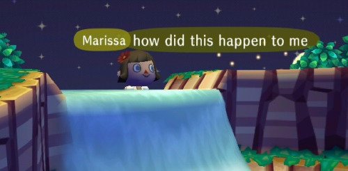 animal crossing bot 🌱 (@anicrossing2) on Twitter photo 