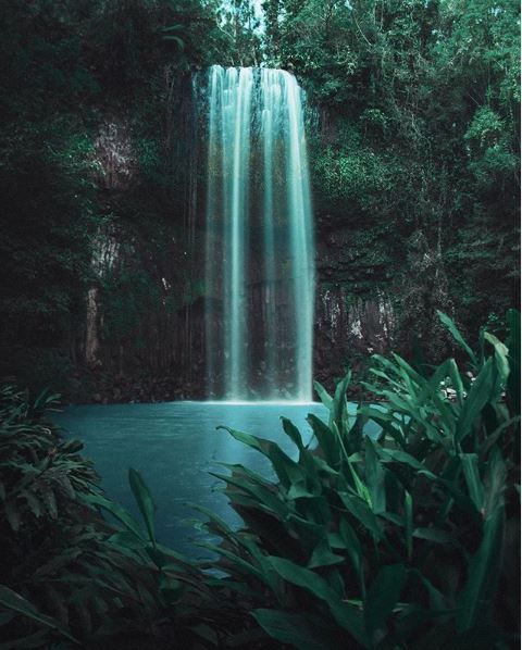 campermate's tweet photo. Located within Queensland's rain forests, the lush Millaa Millaa Falls is adored for its picturesque waterfall and perfect swimming hole 🌴 💦 
📸 finmatson https://t.co/6usFXTA0nP
