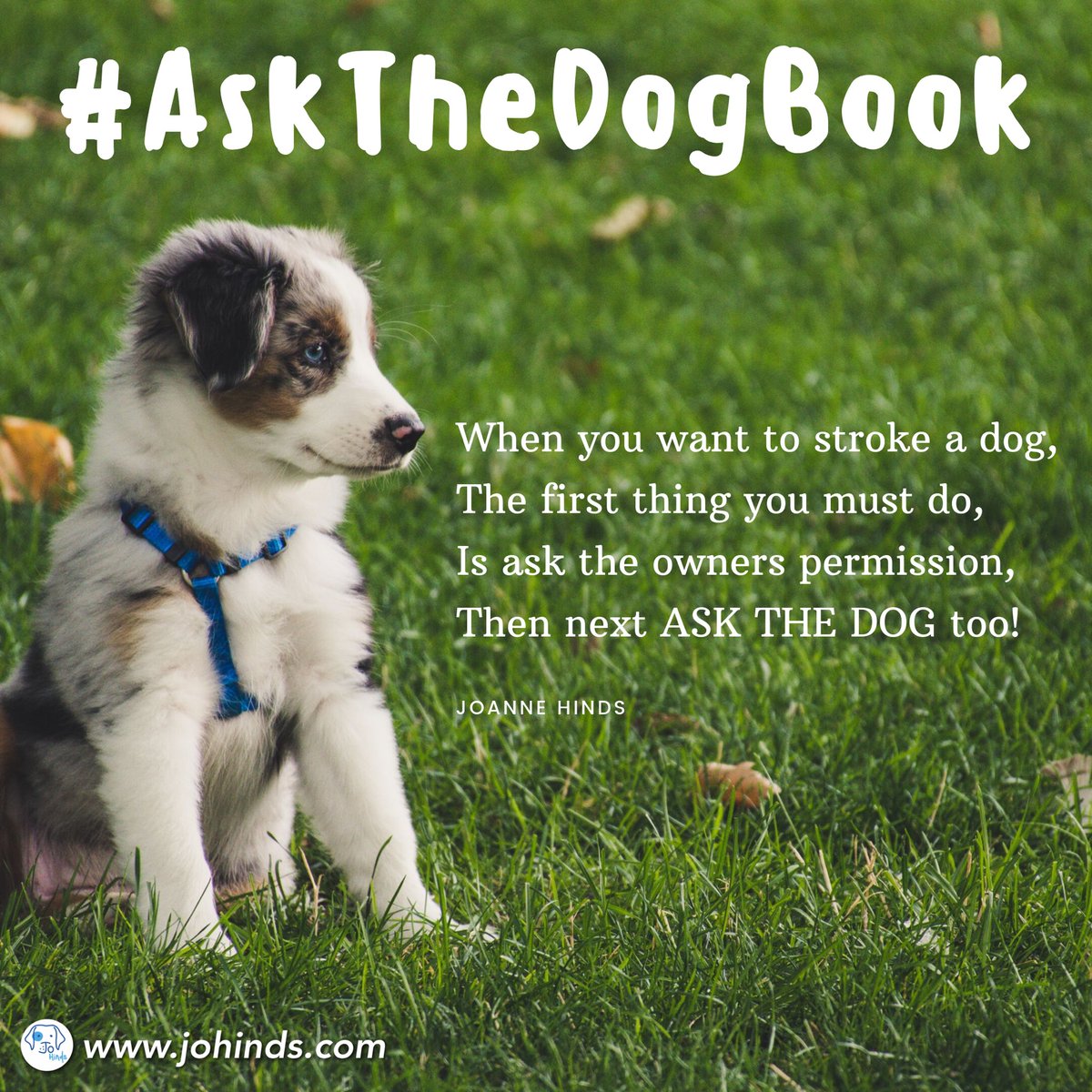 AskTheDog1's tweet photo. Ask the Dog aimed at helping parents and children understand when to stroke a dog.
https://t.co/VUmOUhVrVy
#AskTheDogBook #AskTheDog #DogBitePrevention #ChildSafety #Adults #Author #ChildProtection #ChildrensBook #DogSafety #DogAware #DogBite #DogCommunity #DogLovers #ChildCare https://t.co/buYtalsOgc