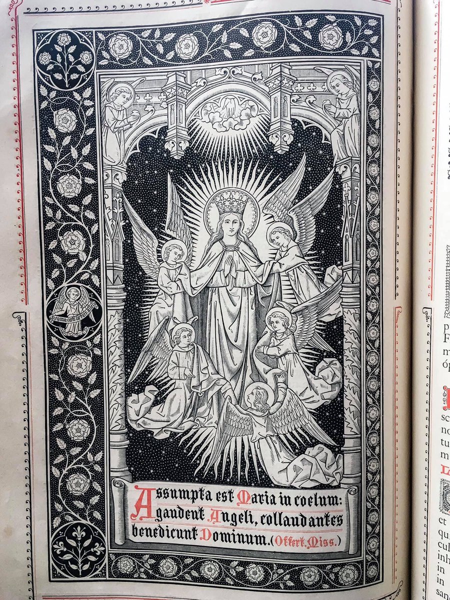 FrVoelker's tweet photo. The Assumption of our Blessed mother https://t.co/WGGvH5bX0j