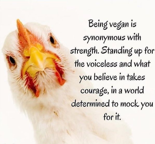ItStarts_With1's tweet photo. #BeTheChange #ItStartsWith1 https://t.co/c1R3JYoK44