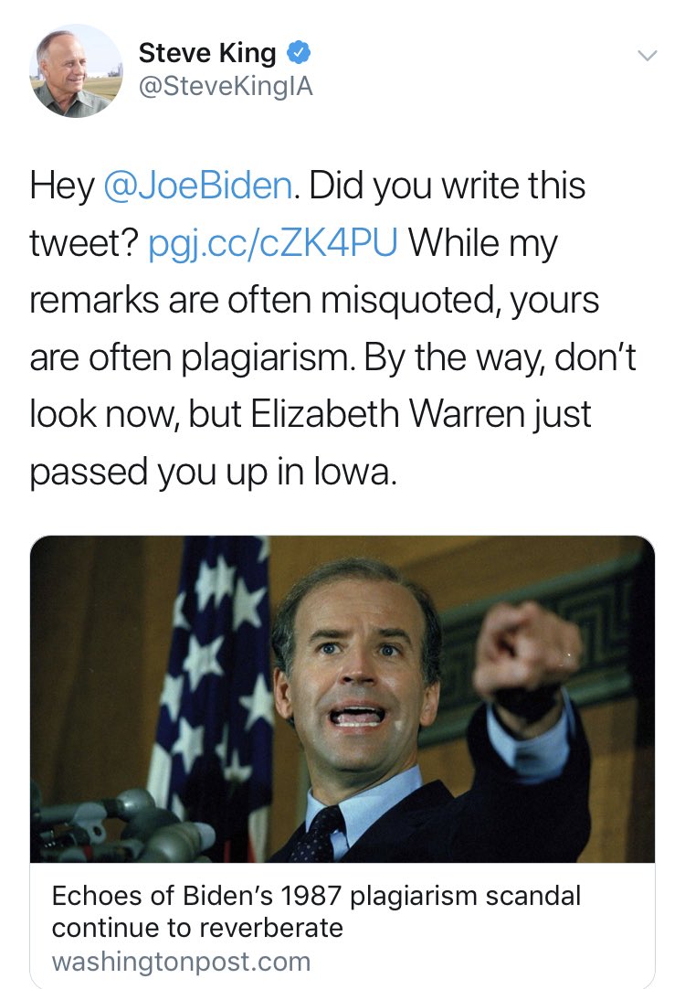 TrollSteveKing's tweet photo. @SteveKingIA likes to jeer at the opposition about some of the detrimental effects words have. Who was the politician to shrug away rape and incest? Iowa deserves better. Donate to ⁦@JDScholten⁩ https://t.co/1RLYOdM6rK