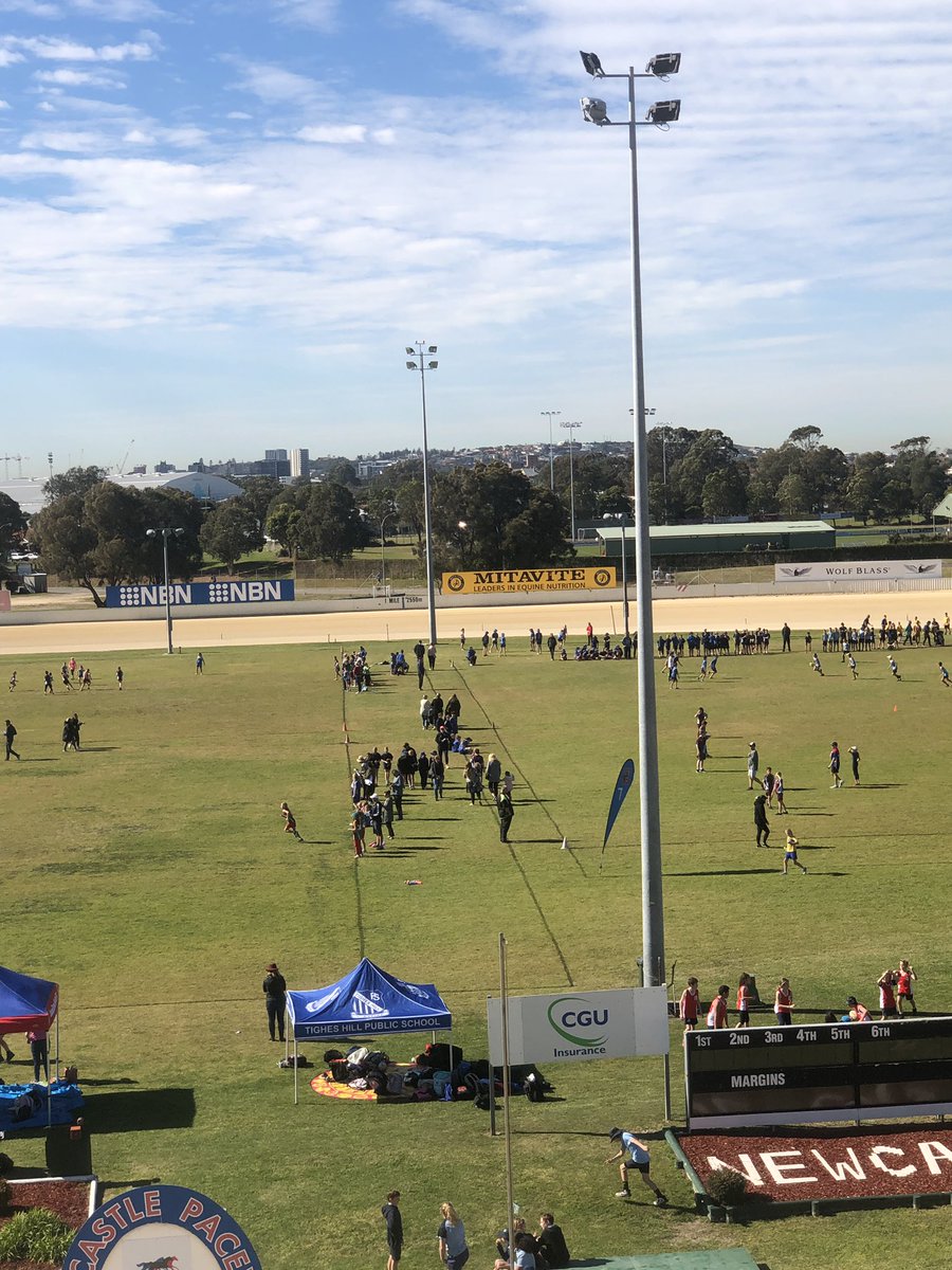 Ricky_Hetho13's tweet photo. Games underway at 2019 Newcastle #PSGD. Record number of 113 teams competing in the event. #playtouch #stepslidetry https://t.co/Quu4PtZ8Vz