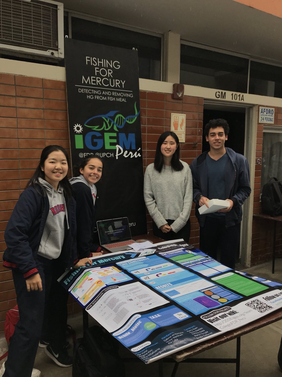 FDRHB_Peru's tweet photo. Our FDR iGEM members at our high school club fair! ¡Nuestros miembros de FDR iGEM en nuestra feria de clubes de secundaria! #igem2019 #FDRrocks #STEMed https://t.co/K4L4rk7qYO
