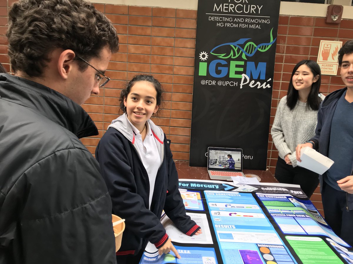 FDRHB_Peru's tweet photo. Our FDR iGEM members at our high school club fair! ¡Nuestros miembros de FDR iGEM en nuestra feria de clubes de secundaria! #igem2019 #FDRrocks #STEMed https://t.co/K4L4rk7qYO