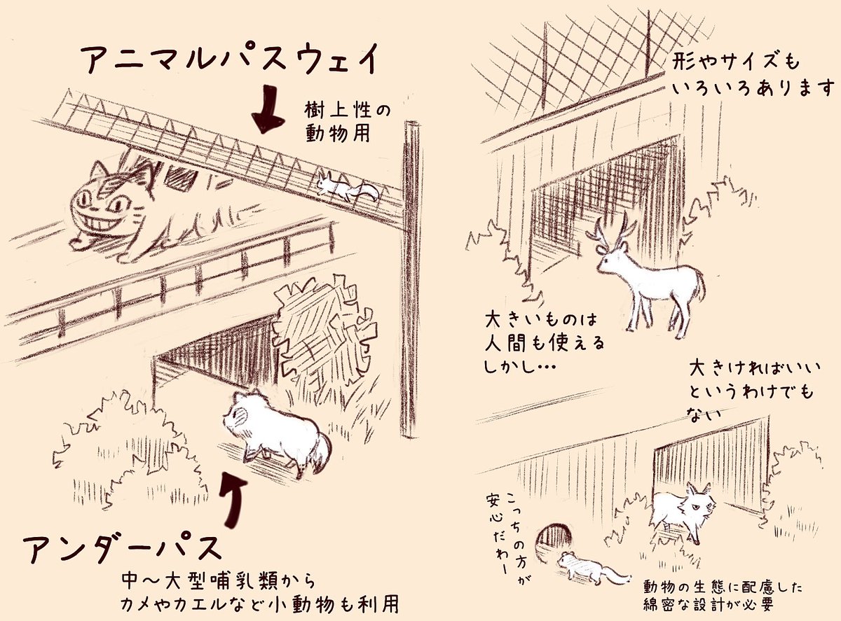 @elicco9_9 拙作に多くのコメントを有難うございます。特に高速道路では、一瞬の判断が自身の安全を左右するので、個々人の注意だけではロードキルの回避は難しいと思います。オーバーブリッジの他にも様々な動物の「通り道」があります… 