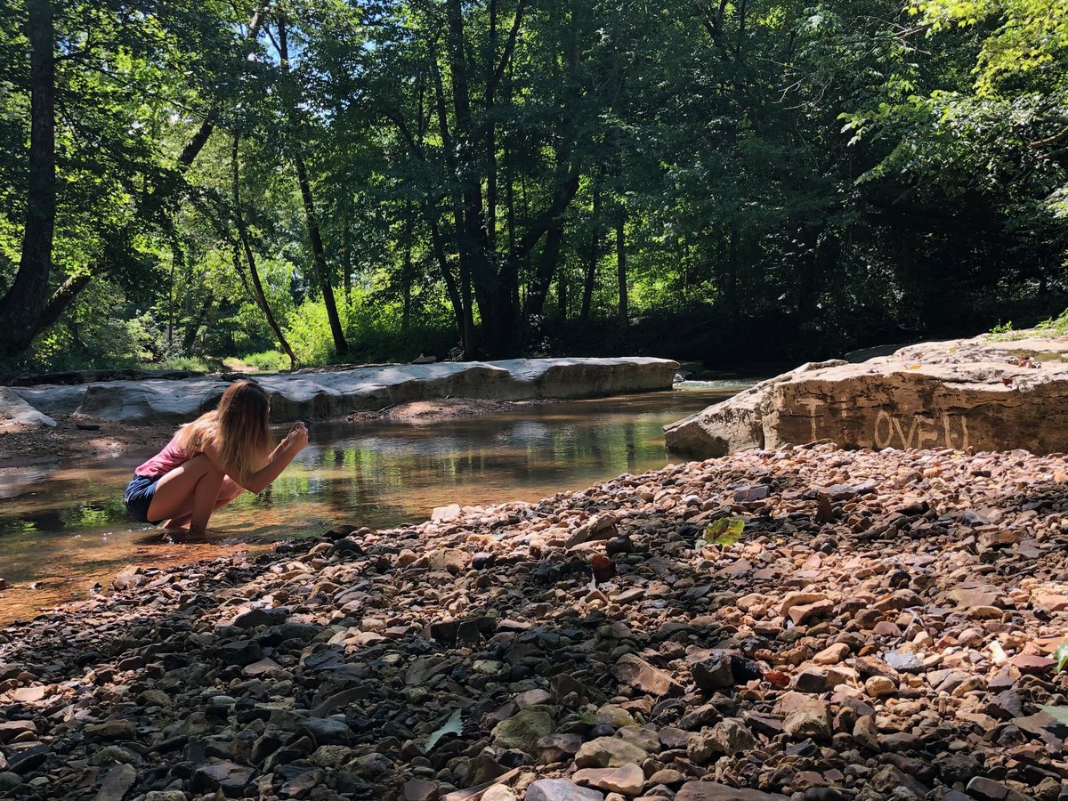 AlyssaLynnMusic's tweet image. Twitter vs Reality 😂 #pictureperfect #doitforthegram #iloveyou