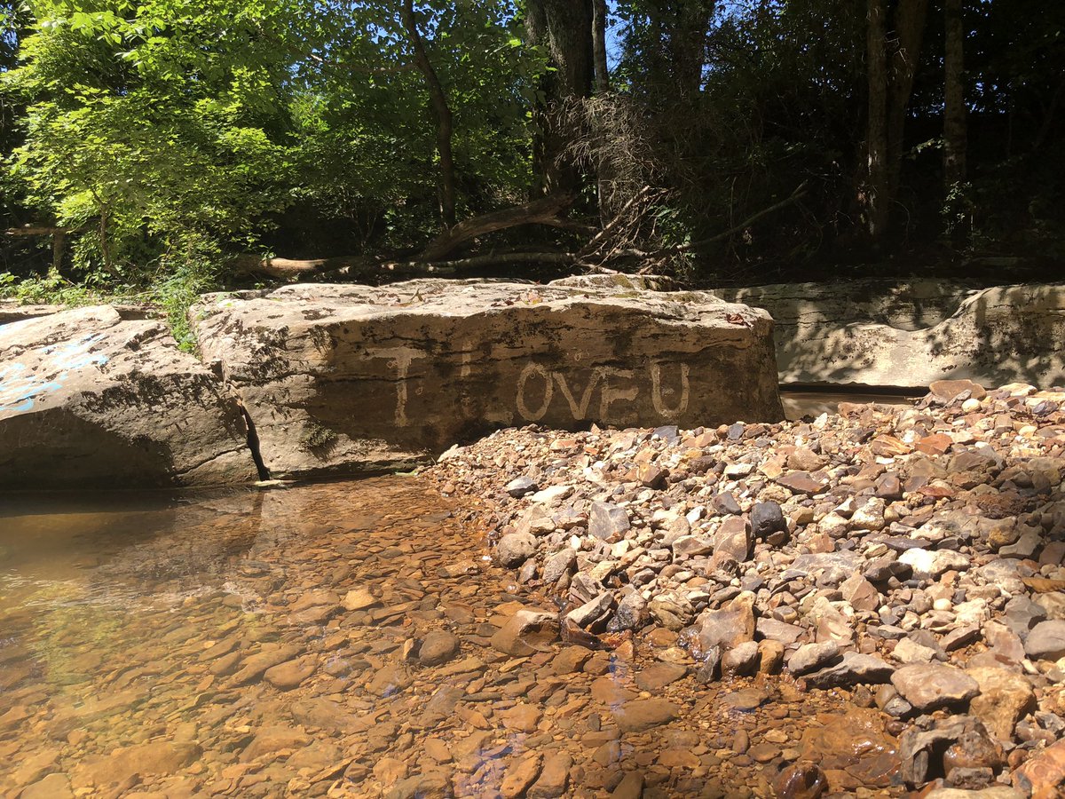 AlyssaLynnMusic's tweet image. Twitter vs Reality 😂 #pictureperfect #doitforthegram #iloveyou