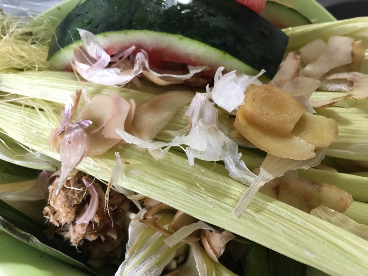 GomiKitchen's tweet photo. きょうの生ゴミ623g
スイカ、トウモロコシ、ジャガイモ、生姜、大葉、人参、キャベツ
#compost 
#コンポスト
#kitchengarbage
https://t.co/ayPc6xlHkx https://t.co/tZyP2iZSgk