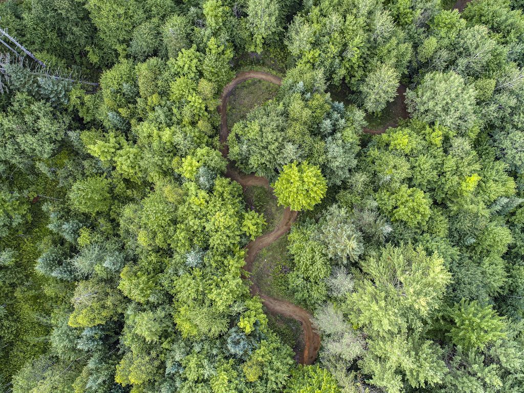 AOCoolers's tweet photo. So many possibilities..what’s your transportation mode of choice? 🚲🏍🏎🏃🏽‍♂️// #AOCoolers #ultimatesoftsidedcooler
.
.
.
.
.
.
.
.
.
.
#360mv #kingdomtrails #vermont #mtb #offroad #trails #trailgoals #mountainbike #NEK #northeastkingdom https://t.co/19RCvg1jnm