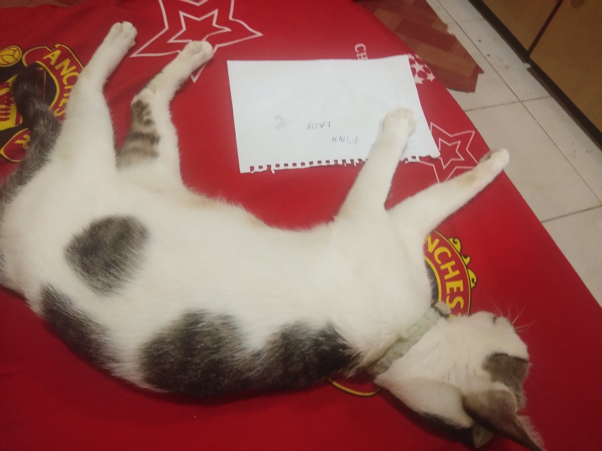 MariamAzmi2's tweet photo. Peneman setia 😍a'a namanya.. https://t.co/oI3NgQlPRO