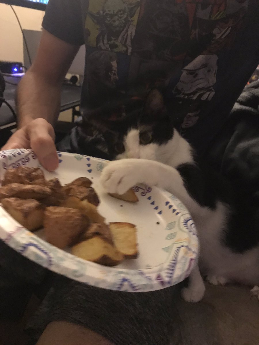 bentotheboy's tweet photo. Koindly alowed    mDade to sit in My Set.              bot i require ome Patito as  taxe  , ples https://t.co/am3g6XxzUN