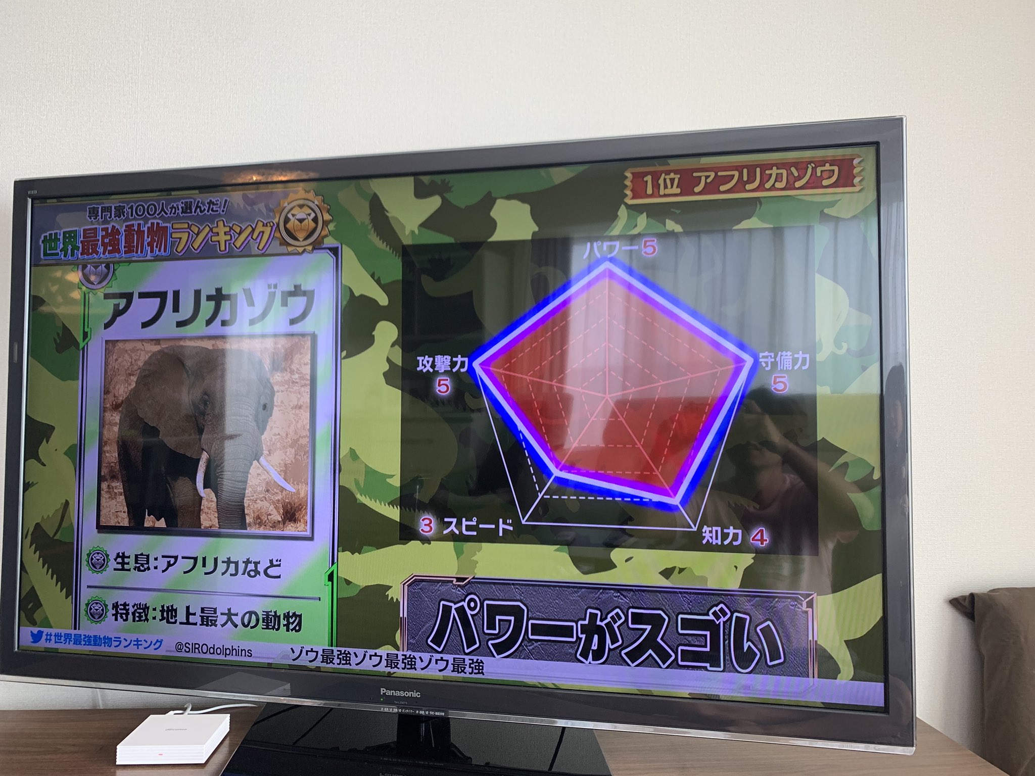 金島弘樹 𝐇𝐢𝐫𝐨𝐤𝐢 𝐊𝐚𝐧𝐞𝐬𝐡𝐢𝐦𝐚 専門家が選んだ世界最強動物ランキング 1位はアフリカゾウ ライオンは圏外だった 2位のラーテルは初めて知ったが防御力最強 生き抜くために進化した動物と食物連鎖は企業が生き抜く為のヒントを得られる