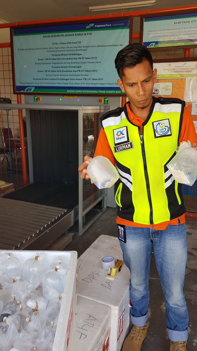 WilkerBiak's tweet photo. Pengecekan ulang di Cargo bandara udara Frans kasiepo biak, Pengirim Anwar sanusi, Ikan hias  1720 ekor 5 koli penerima : Arif tujuan 
@bkipmdenpasar 
@BKIPMJayapura       
@HumasBKIPM https://t.co/YMrHATzaz8
