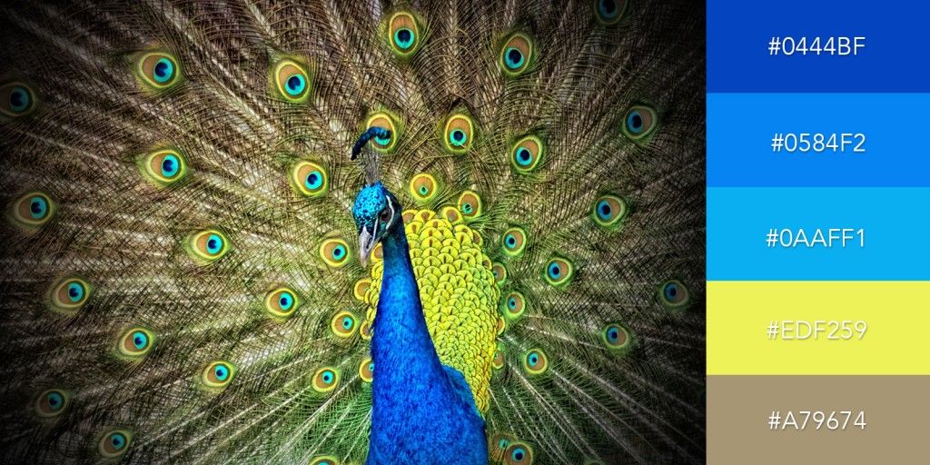 VismeApp's tweet image. How do you pick the colors for your projects?

Here are 50 Beautiful Color Combinations 
(And How to Apply Them to Your Designs) 

visme.co/blog/color-com…

#colors #design #visualproject #socialmedia #marketing #inspiration