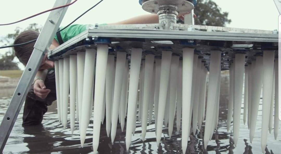 Common #UCF, #Knightnation #UF, #Gatornation #USF, #bullsnation, #Rollins, #Orlando and all of #CentralFlorida community.  We are now tied for 1st place!!!

Make your vote count and KEEP VOTING!  

PLEASE head over to greenbiz.com/events/verge-c… and vote for #ecoSPEARS