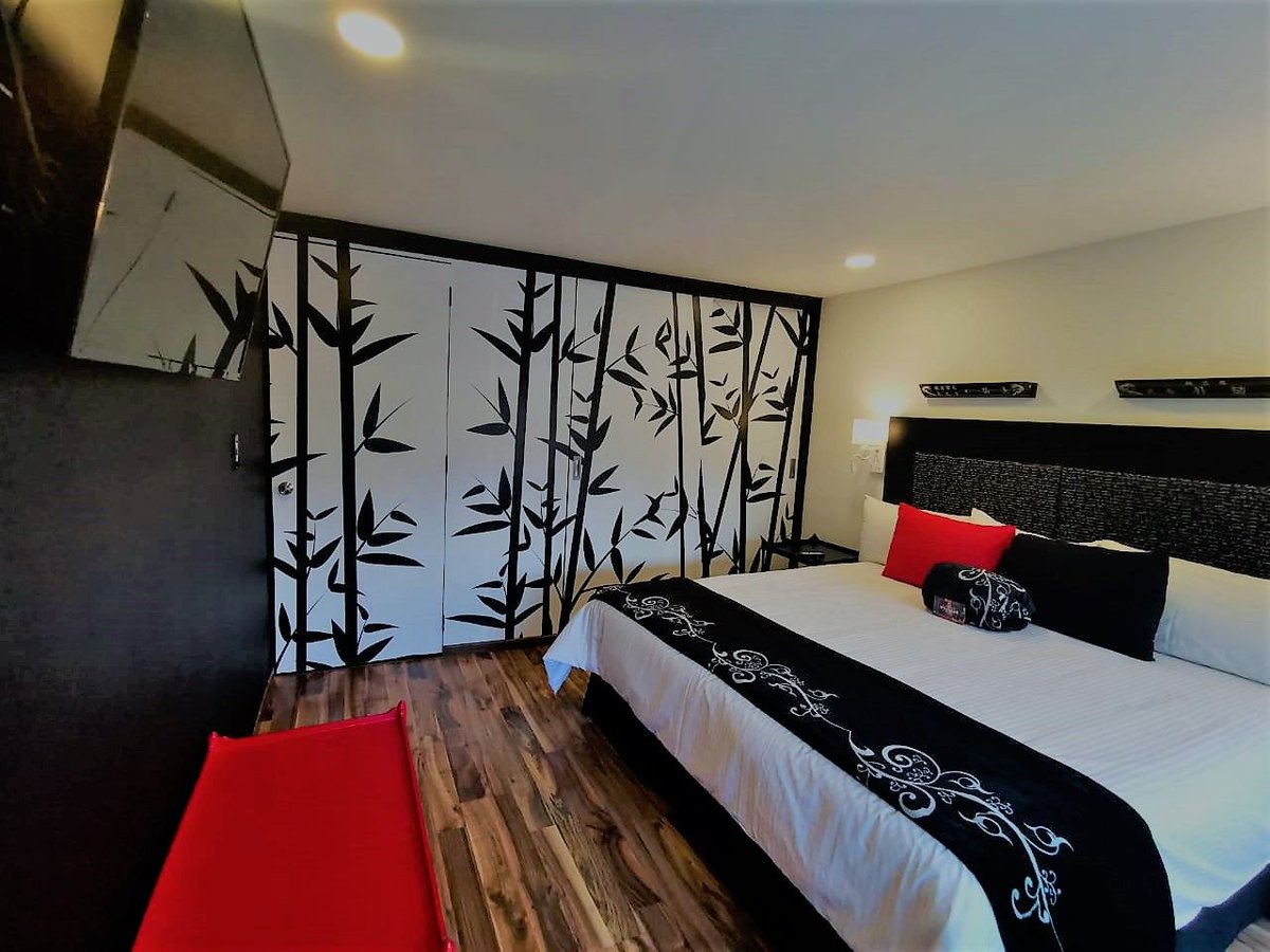 BasicHotelMx's tweet photo. Basic hotel, cuenta con habitaciones temáticas únicas en su estilo y decoradas con elementos de época, Reserva anticipadamente, venta exclusiva en #BasicHotel #ReservaYA. https://t.co/wvW9DbhOGC