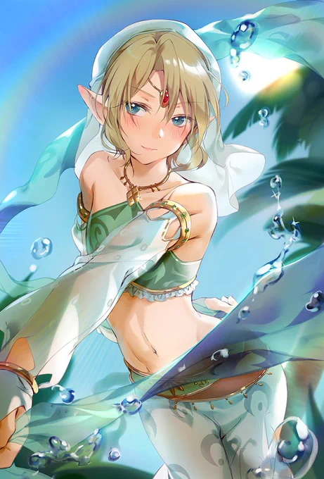 #ゼルダの伝说 