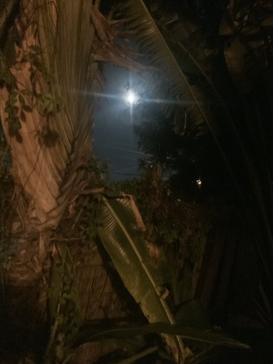 My backyard... gorgeous magical 🔮full-moon 🌕full of positive cosmic energy! 💫✨🌟Love it. #Soblessedrightnow...Happy Thursday night, everyone! Light, Love, and Positivity GEM💎<i