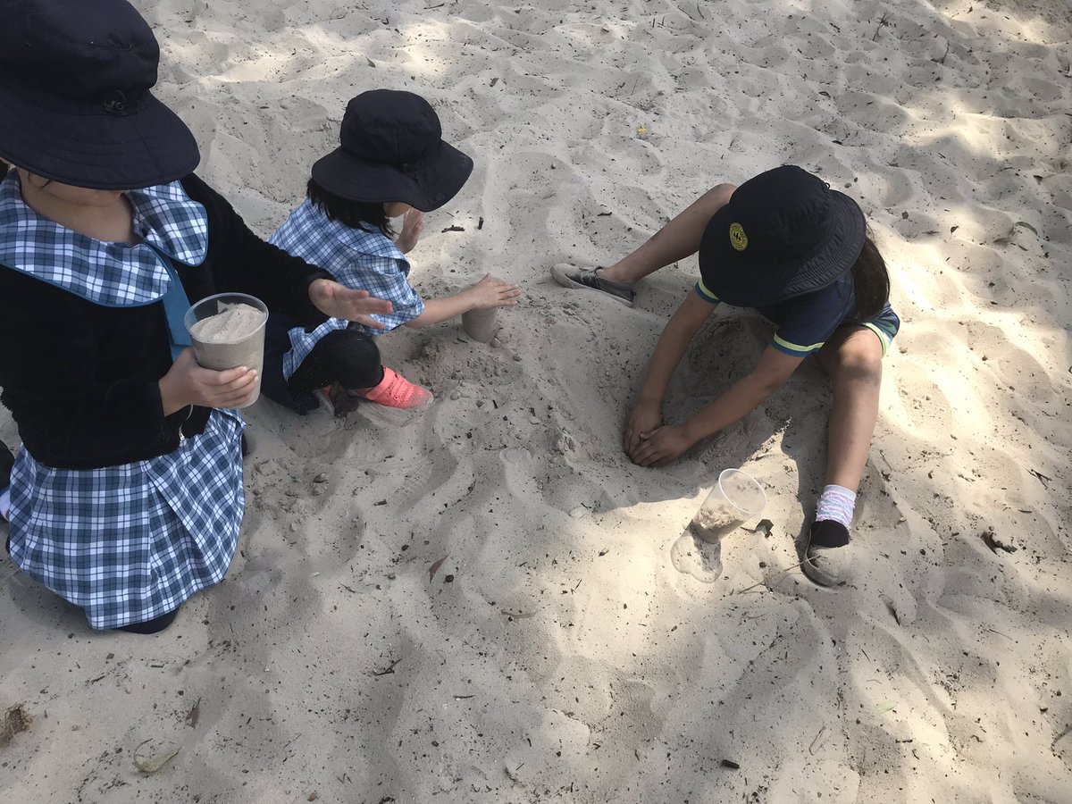 1C Wild Things tweet media