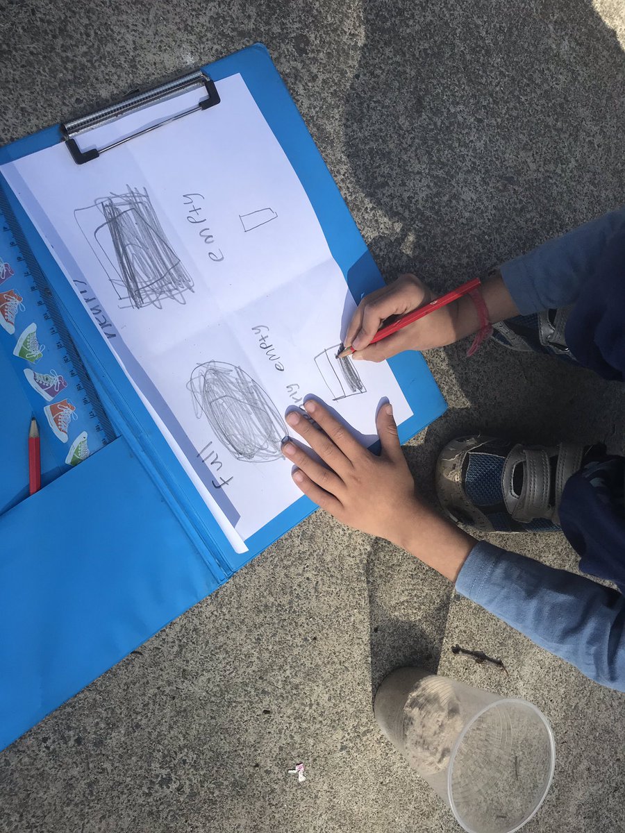 1C Wild Things tweet media