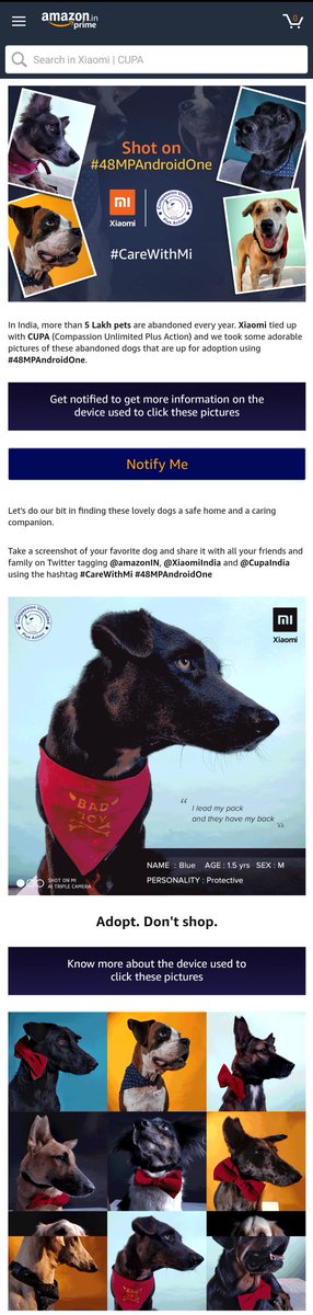 Thank you <a href="/amazonIN/">Amazon India</a>  for supporting this cause

Act. Adopt. Adore.

amazon.in/b?node=1760299…