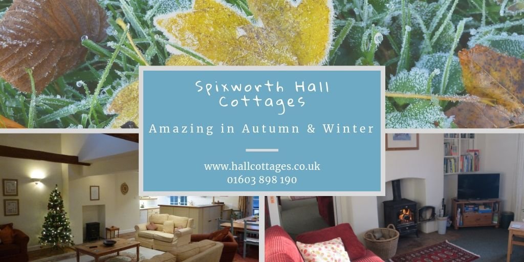 Spixhallcottage's tweet photo. Looking for a Cottage Autumn/Winter break..#SpixworthHallCottages is simply stunning! During the chillier months after a lovely walk across our 700 acres of land in the crisp fresh air or having fun in our games barn, relax and enjoy the comfort of our cottages &amp; our log stoves! https://t.co/Dwe4R1kvlc