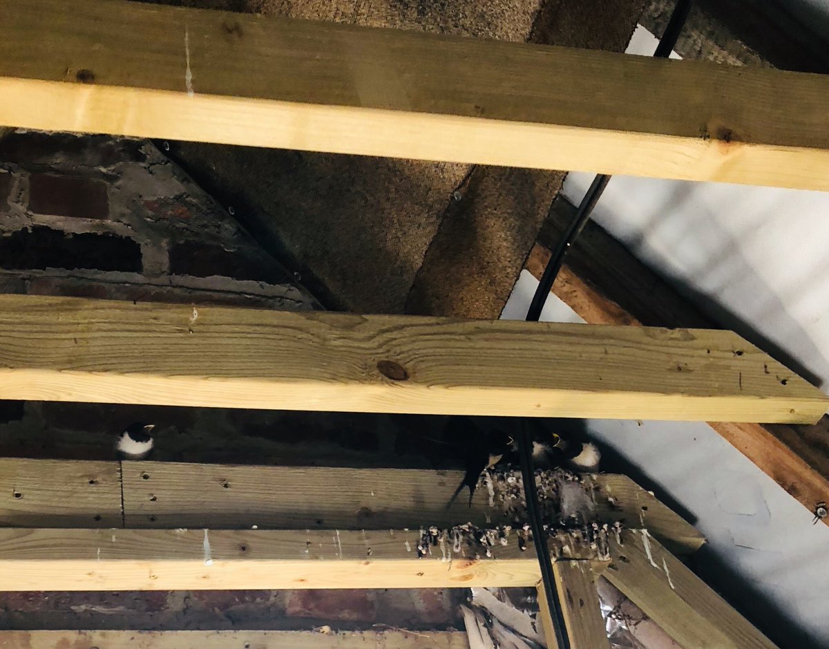 MM Construction tweet media