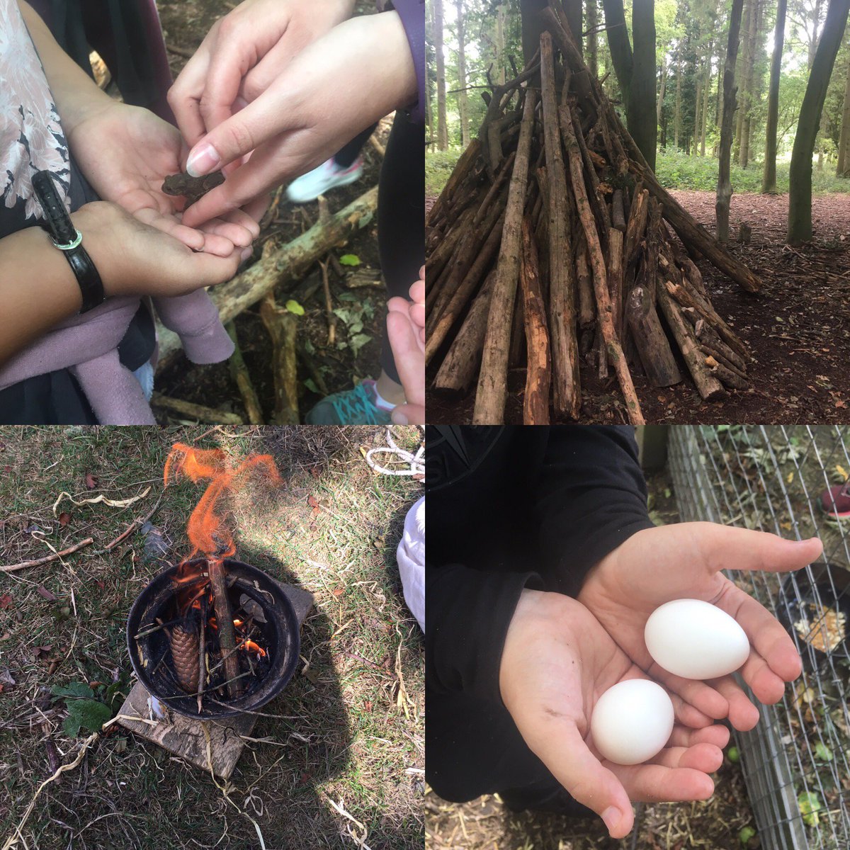 180Charity's tweet photo. Another amazing day @earth_trust for our #SummerProject19 
Our young people made an amazing den and even found a small frog when searching for logs 🐸 Check out some of our favourite photos from the day! 📸 #Explore #NewSkills #Oxfordshire https://t.co/csLceI1DKr