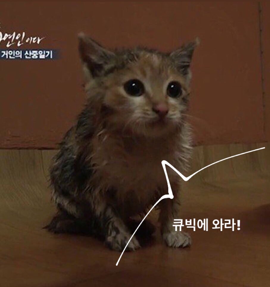 경기대 큐빅은 언제나 열려있어요!
가입 문의 상시 환영이니
부담갖지 마시고 언제든 디엠주셔요ㅎㅎ