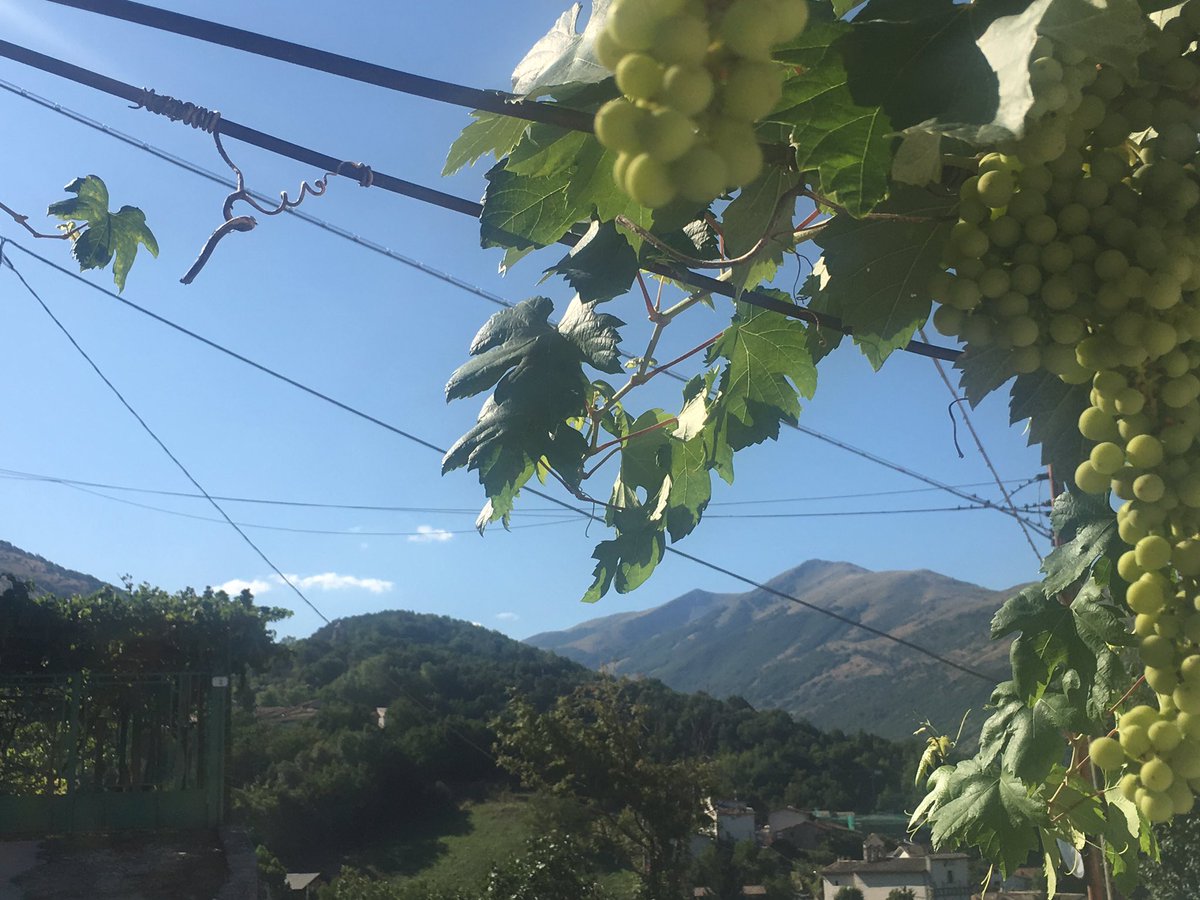 SilviaSciubba's tweet photo. Cartolina del giorno: #Lucoli (Aq), #Abruzzo 💚 #borgoitaliano #laquila #ambiente #clima https://t.co/9bHkYdzZ9E