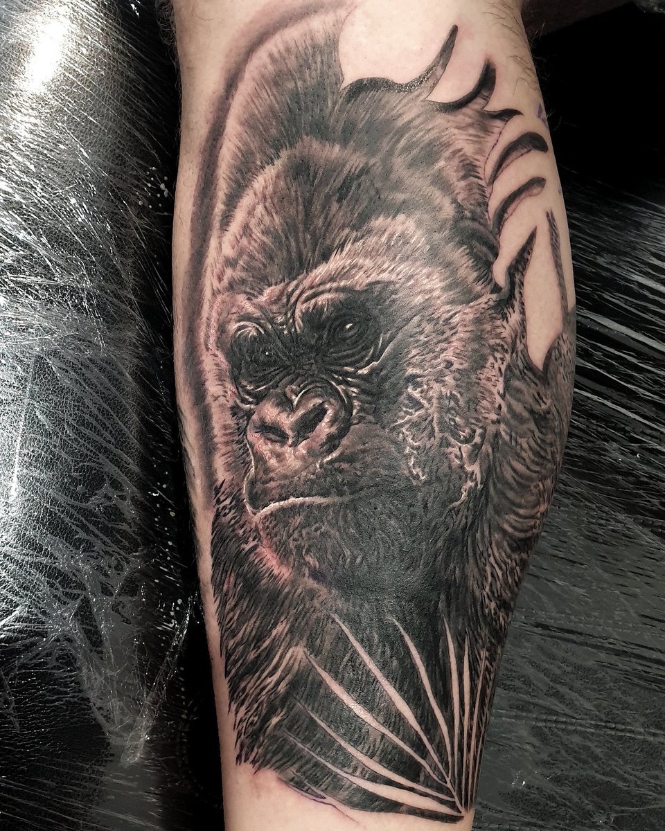 Had a ton of fun doing this today! One of my favourite animals to tattoo! Thanks Ben, looking forward to the next piece! #portrait #portraittattoo #realismtattoo #gorillatattoo <a href="/TattooSociety13/">TattooSociety13</a> <a href="/TattooLifeMag/">Tattoo Life</a> <a href="/TheDailyTattoos/">Tattoos ★ ★ ★</a>