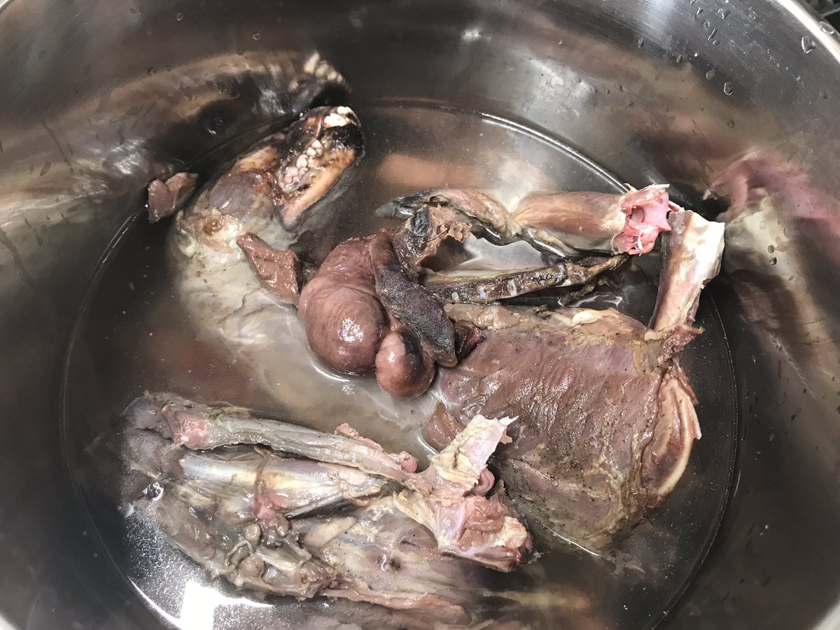 野生を食べよう リッカーシチュー Togetter 野生を食べよう リッカーシチュー Togetter