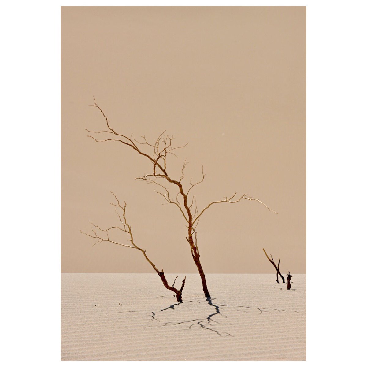 instagram.com/p/B1NUjCNFvLw/…