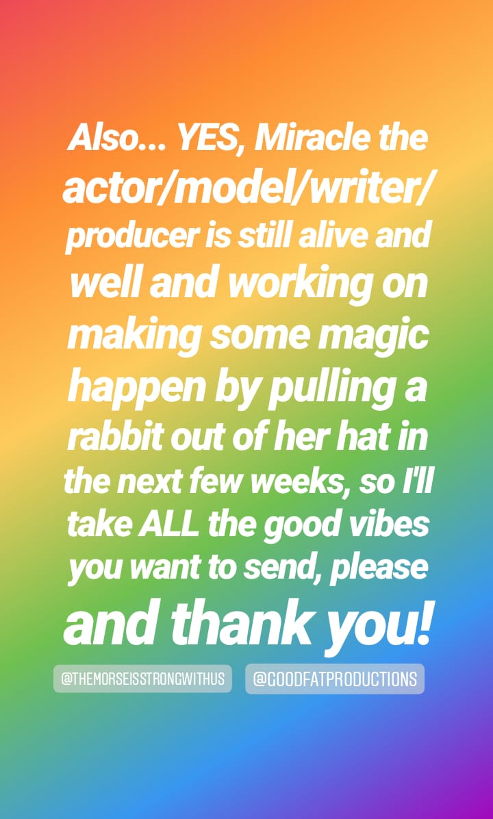 miraclelaurie's tweet photo. This is part 2 &amp; you can get the link to #havezenwilltravel by following me on IG. Your kindness and support means the world to me. Thank You. 💗 #timetostopplayingsmall #miraclethejoybringer #itsagooddayforagoodday #miraclelaurie https://t.co/lpjAnZRpds