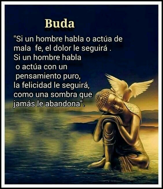 Resultado de imagen para frases de reflexion budistas